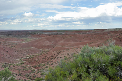 Park Road in the Painted Desert